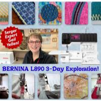 BERNINA 3-Day L890 Immersive Exploration with Gail Yellen in Alexandria
